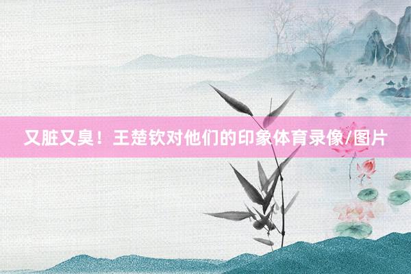 又脏又臭！王楚钦对他们的印象体育录像/图片