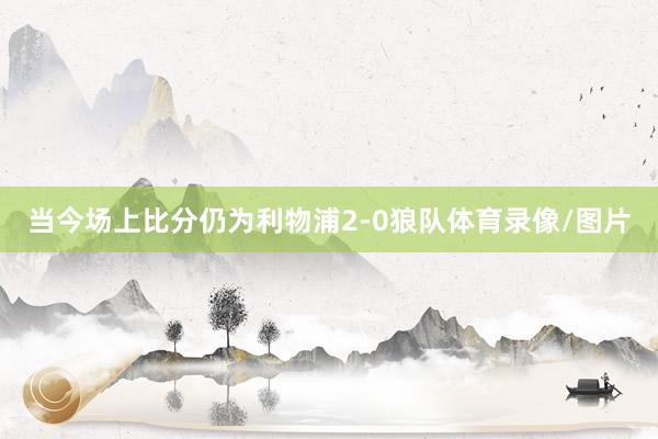 当今场上比分仍为利物浦2-0狼队体育录像/图片