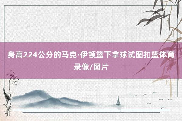 身高224公分的马克·伊顿篮下拿球试图扣篮体育录像/图片