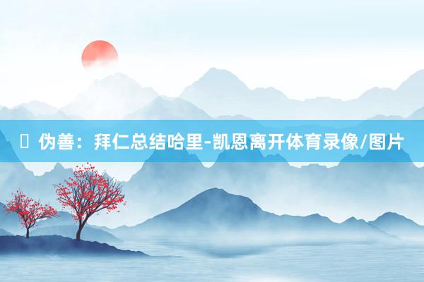 ❌伪善:拜仁总结哈里-凯恩离开体育录像/图片