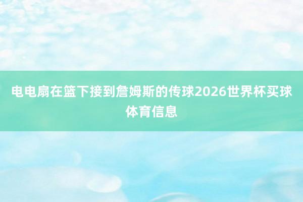 电电扇在篮下接到詹姆斯的传球2026世界杯买球体育信息