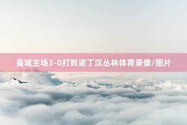 曼城主场3-0打败诺丁汉丛林体育录像/图片