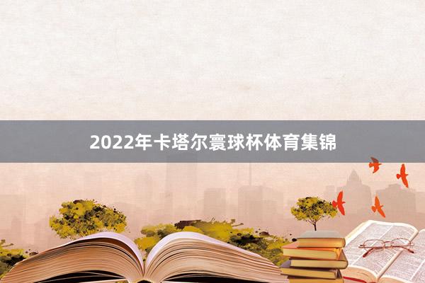 2022年卡塔尔寰球杯体育集锦
