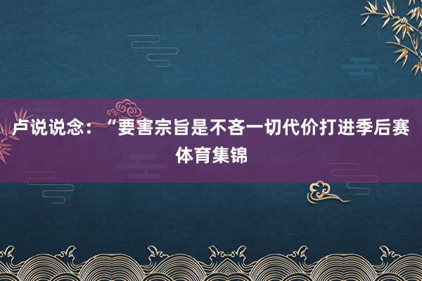 卢说说念：“要害宗旨是不吝一切代价打进季后赛体育集锦
