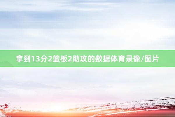 拿到13分2篮板2助攻的数据体育录像/图片