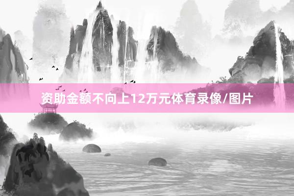 资助金额不向上12万元体育录像/图片
