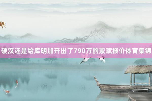硬汉还是给库明加开出了790万的禀赋报价体育集锦