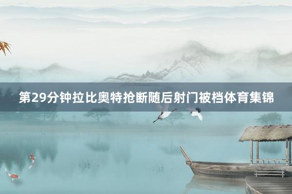 第29分钟拉比奥特抢断随后射门被档体育集锦