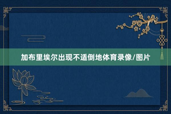 加布里埃尔出现不适倒地体育录像/图片