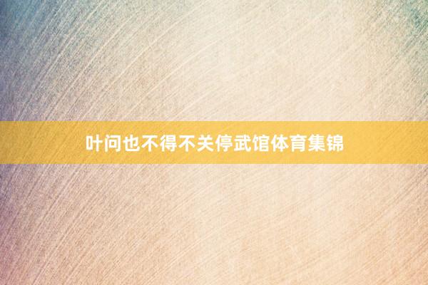 叶问也不得不关停武馆体育集锦
