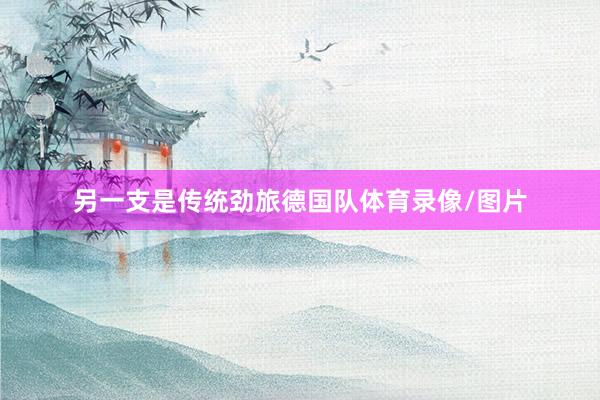 另一支是传统劲旅德国队体育录像/图片