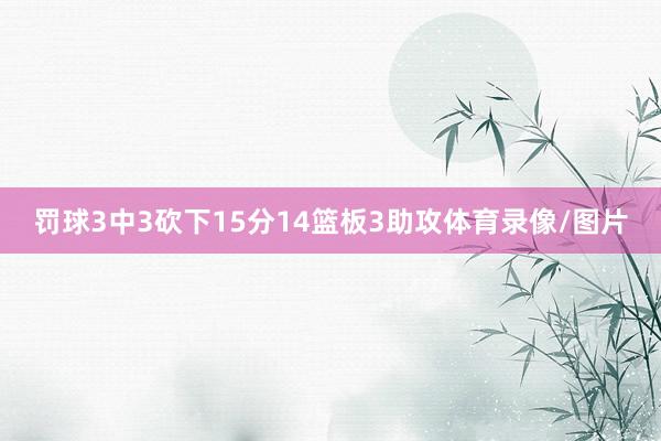 罚球3中3砍下15分14篮板3助攻体育录像/图片