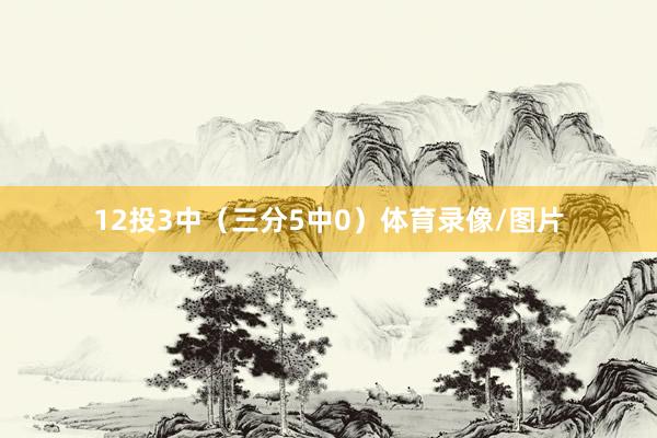 12投3中（三分5中0）体育录像/图片