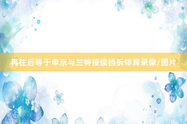再往后等于申京与兰特接续挡拆体育录像/图片