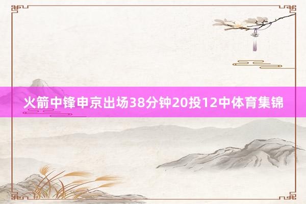 火箭中锋申京出场38分钟20投12中体育集锦