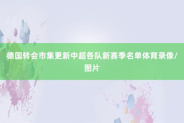 德国转会市集更新中超各队新赛季名单体育录像/图片