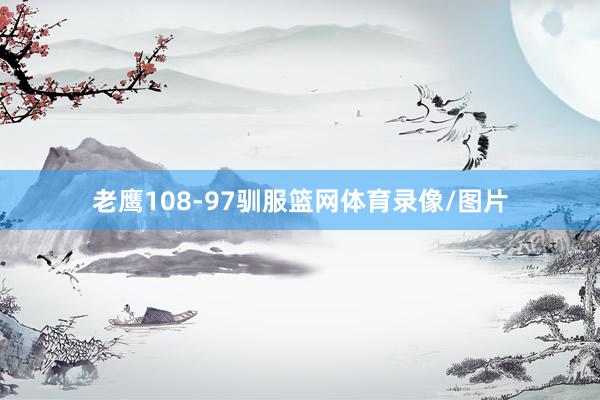 老鹰108-97驯服篮网体育录像/图片