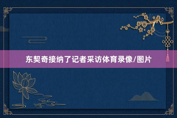东契奇接纳了记者采访体育录像/图片