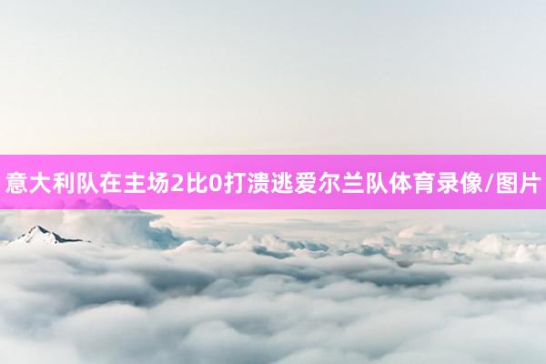 意大利队在主场2比0打溃逃爱尔兰队体育录像/图片
