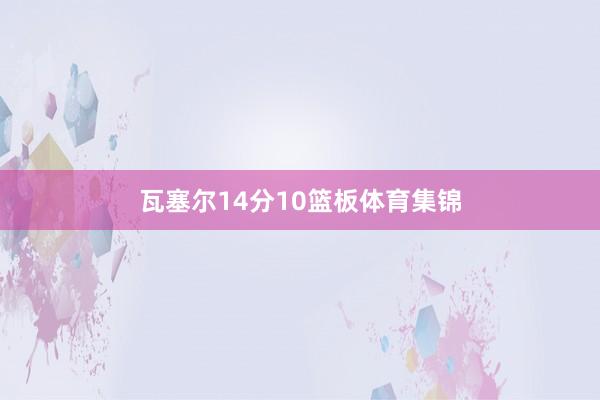 瓦塞尔14分10篮板体育集锦