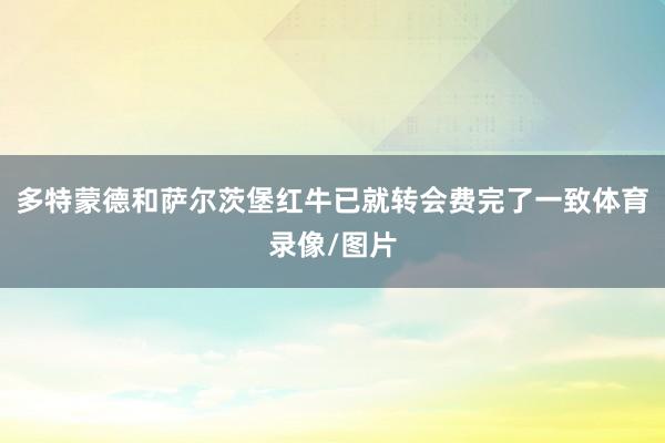 多特蒙德和萨尔茨堡红牛已就转会费完了一致体育录像/图片